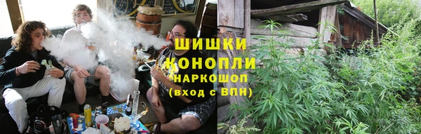 мдпв Краснотурьинск