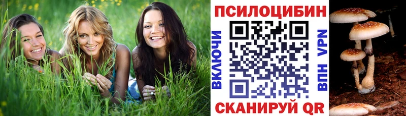 Купить закладки  Губкинский  Галлюциногенные грибы ЛСД 